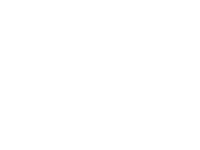 Dinner/Lunch